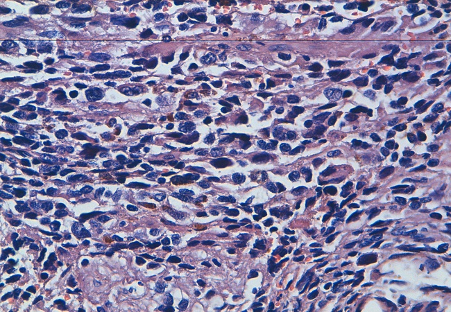 Quiz Image