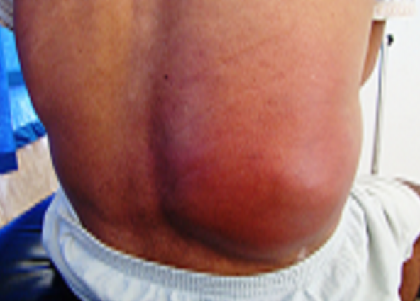 Quiz Image