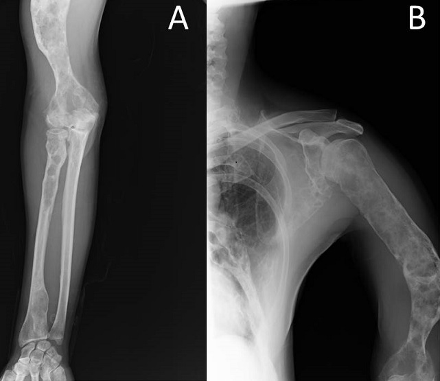 Quiz Image