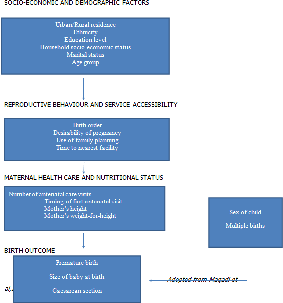 Figure Figure 1-Factors associated with low birth weight among neonates ...