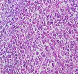 Quiz Image