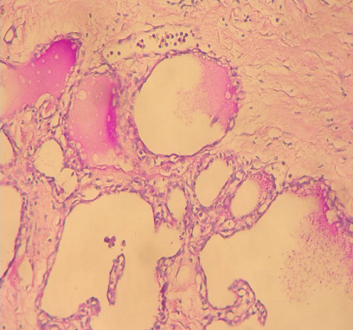 Quiz Image