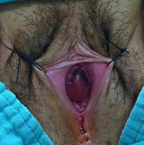 Quiz Image