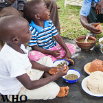 Dietary pattern and nutritional status of female adolescents in Amai ...