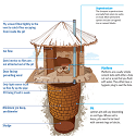 Article Thumbnail Image