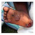 Article Thumbnail Image