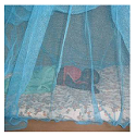 Article Thumbnail Image