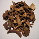 Article Thumbnail Image