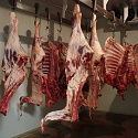 Article Thumbnail Image