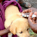 Article Thumbnail Image
