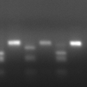 Article Thumbnail Image