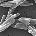 Article Thumbnail Image