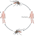 Article Thumbnail Image