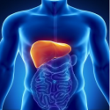 Article Thumbnail Image