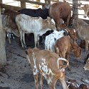 Article Thumbnail Image