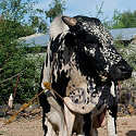 Article Thumbnail Image