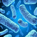 Article Thumbnail Image