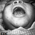 Article Thumbnail Image