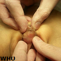 Article Thumbnail Image