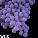 Article Thumbnail Image