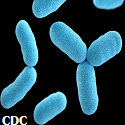 Article Thumbnail Image