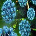 Article Thumbnail Image