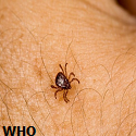 Article Thumbnail Image