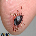 Article Thumbnail Image