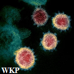 Article Thumbnail Image