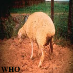 Article Thumbnail Image