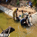 Article Thumbnail Image
