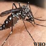 Article Thumbnail Image