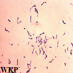 Article Thumbnail Image
