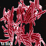 Article Thumbnail Image