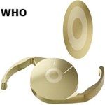 Article Thumbnail Image