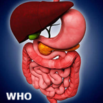 Article Thumbnail Image