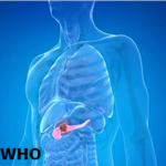 Article Thumbnail Image