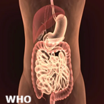 Article Thumbnail Image